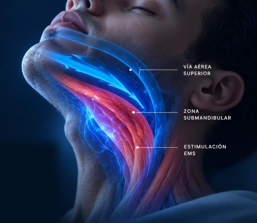 Zona del cuello y la mandíbula con la musculatura estimulada